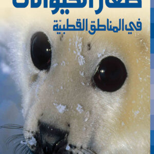 صغار الحيوانات في المناطق القطبية