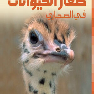 صغار الحيوانات في الصحاري