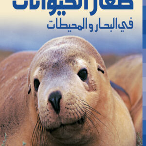 صغار الحيوانات في البحار و المحيطات